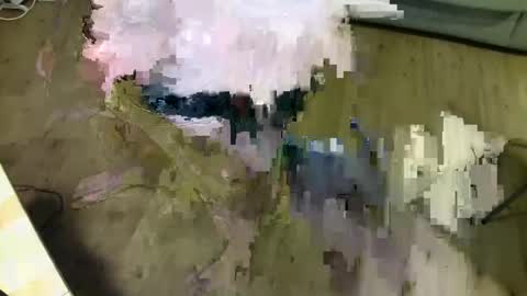 MusicMen49 online show from 01-20-25, 10:48