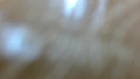 karina_hill online show from 07-09-26, 08:35