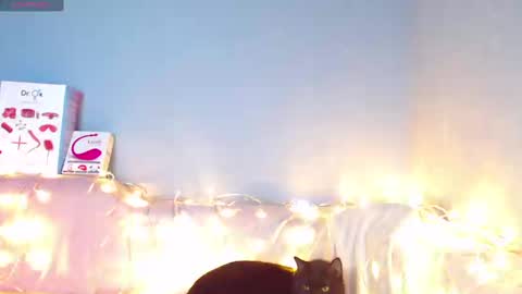 Kira online show from 01-12-25, 06:39