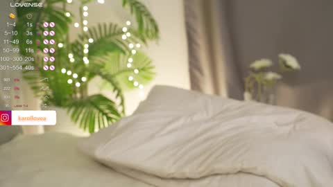 Karol 22 y.o online show from 02-13-25, 01:48