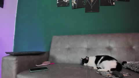 Snapshot of karolsweet_ chatting on 03-26-26, 10:37 KarolSweet online show from 03-26-26, 10:37