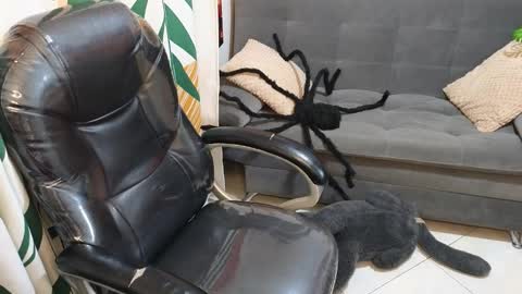 kathie_lozada online show from 10-28-25, 06:17