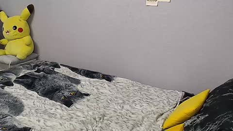 KathrineBerry online show from 01-31-25, 02:07