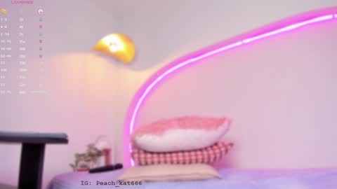 Katy  IGPeach kat666 online show from 01-22-25, 03:40