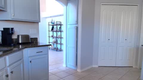 Kat online show from 02-12-26, 06:36