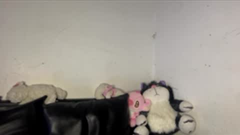 Snapshot of kattia_23 chatting on 03-16-26, 03:23 kattia online show from 03-16-26, 03:23