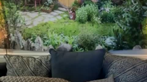 katy_chris online show from 06-04-26, 06:19
