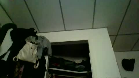 kaylee kakes online show from 03-09-26, 06:56