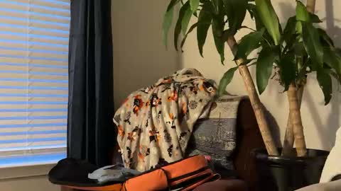 Keaton Keller online show from 10-17-25, 10:56