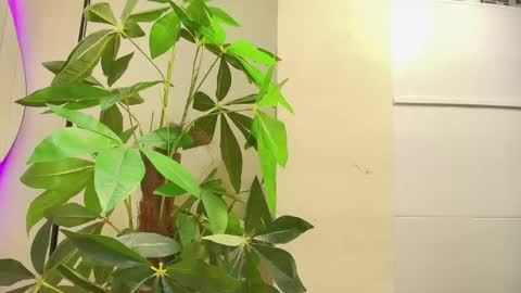 Snapshot of keila_hott20 chatting on 10-01-25, 12:00 keila online show from 10-01-25, 12:00