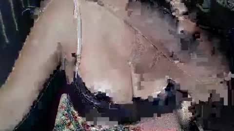 Kellyshow online show from 04-04-26, 05:43