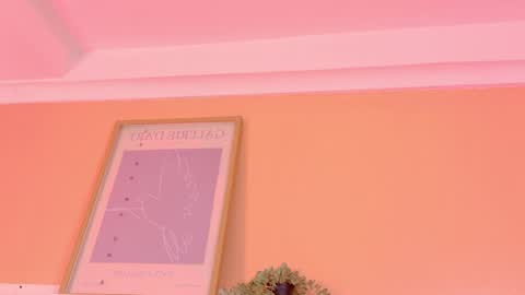   online show from 04-06-26, 09:10