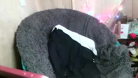 Kennedy Nova  online show from 01-26-25, 10:24