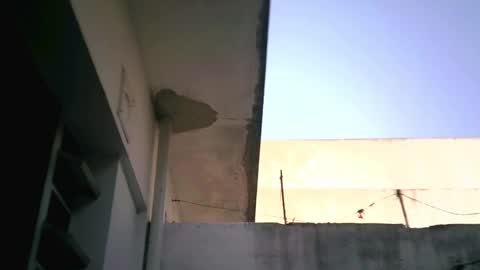 Snapshot of keny06 chatting on 02-04-25, 07:55 keny06 online show from 02-04-25, 07:55