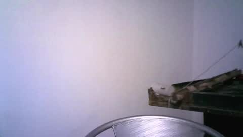 Snapshot of keny06 chatting on 02-12-25, 03:51 keny06 online show from 02-12-25, 03:51