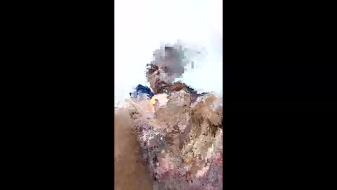 kenzo6140 online show from 04-12-26, 09:20