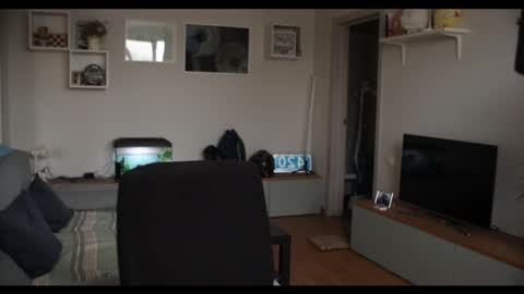 Snapshot of kevin_park chatting on 02-17-25, 12:05 Kev online show from 02-17-25, 12:05