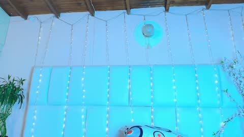    N         M online show from 01-26-25, 11:28