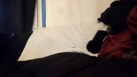 Frankie online show from 01-14-26, 06:41