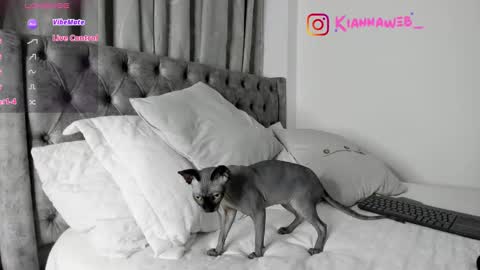 Snapshot of kiianna__ chatting on 02-28-25, 03:48 INSTAGRAM Kiannaweb online show from 02-28-25, 03:48