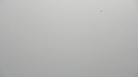 Snapshot of kiiaraamoon chatting on 06-24-26, 03:16 Kiara online show from 06-24-26, 03:16