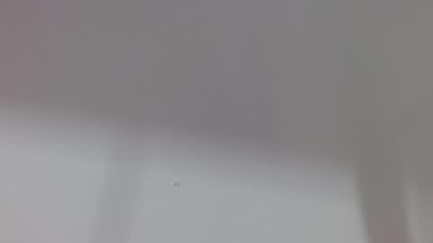 Melody online show from 10-11-25, 12:04