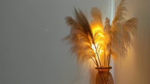 Kim Murphy online show from 12-31-24, 12:36