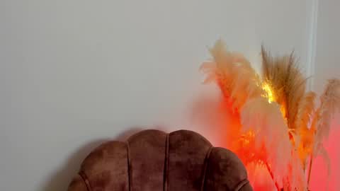 Kim Murphy online show from 01-25-25, 01:19