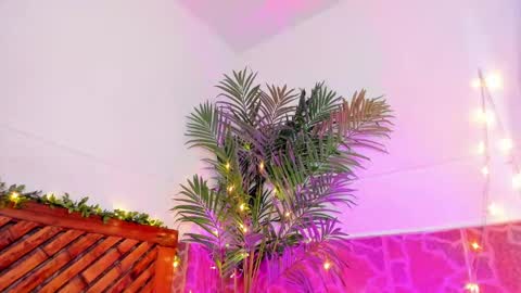 kimberly gonzalez online show from 01-11-25, 06:45