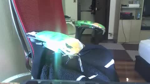 kinchan069 online show from 02-05-25, 02:08