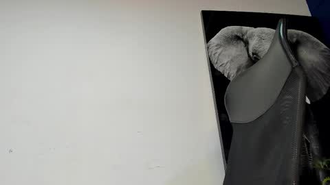 Angel Falconer online show from 11-04-25, 02:10