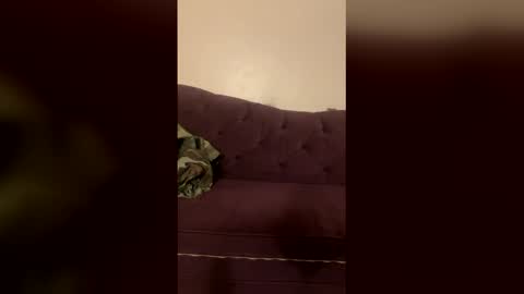 kingecstasyxxxddd online show from 03-18-26, 04:54