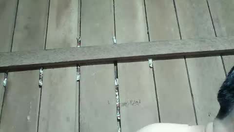 Snapshot of kingsucker2069 chatting on 01-16-26, 04:00 Ruru online show from 01-16-26, 04:00