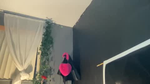 Bunniii online show from 01-02-25, 11:41