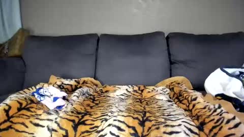 Kinky online show from 02-11-25, 12:16