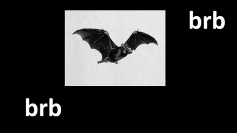 meow online show from 06-20-26, 12:19