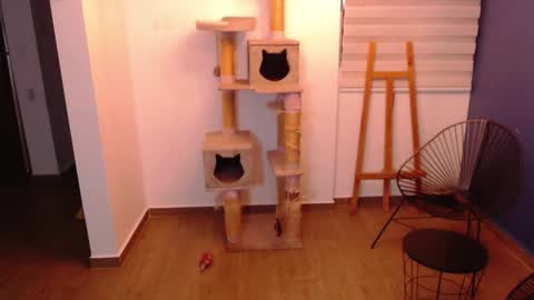 Snapshot of kintsugim chatting on 11-07-25, 04:01 kintsugi online show from 11-07-25, 04:01