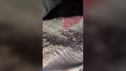 Snapshot of kirks2023 chatting on 03-19-26, 10:52 St1r4life online show from 03-19-26, 10:52