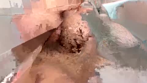 kitkatmac online show from 01-03-25, 07:29