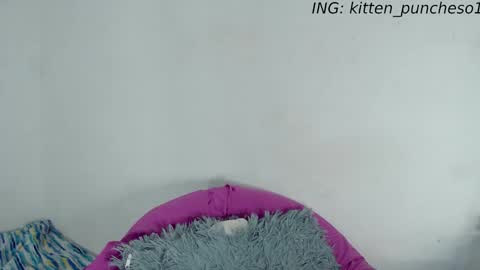 Snapshot of kitten_punches01 chatting on 09-28-25, 02:39 kitten_punches01 online show from 09-28-25, 02:39