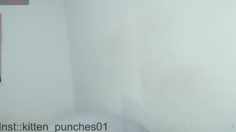 kitten_punches02 online show from 11-01-25, 03:08