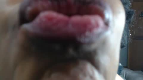 Snapshot of kitty_pervertedx chatting on 01-23-25, 03:48 kitty online show from 01-23-25, 03:48
