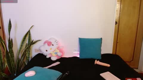 Snapshot of kittycatw chatting on 12-17-25, 09:21 LAURA help me reach 100likes online show from 12-17-25, 09:21