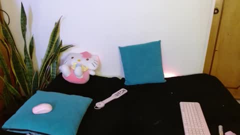 Snapshot of kittycatw chatting on 02-11-26, 07:02 LAURA help me reach 100likes online show from 02-11-26, 07:02