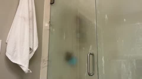 Snapshot of kittypurr79 chatting on 01-02-25, 12:02 kittypurr79 online show from 01-02-25, 12:02