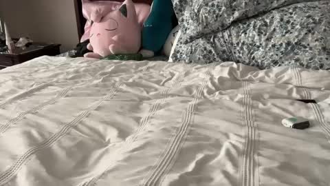 Snapshot of kittypurr79 chatting on 01-12-25, 12:07 kittypurr79 online show from 01-12-25, 12:07