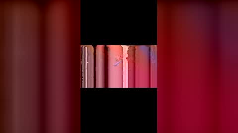 Snapshot of kittypurrrrry chatting on 03-02-26, 05:31 kittypurrrrry online show from 03-02-26, 05:31