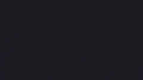 Kitty  online show from 09-16-25, 12:17