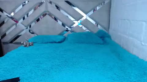 Snapshot of kittyzevee_ chatting on 02-08-25, 01:11 kittyzevee_ online show from 02-08-25, 01:11