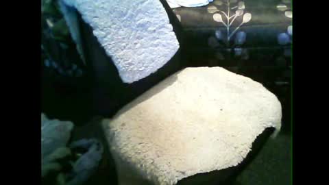 kiwicount online show from 07-19-26, 05:22